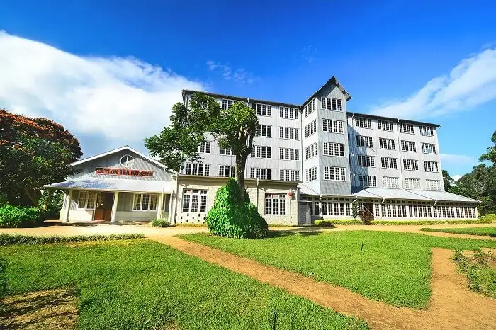 ceylon tea museum