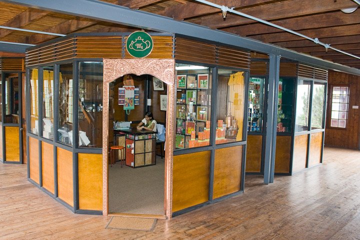 ceylon tea museum
